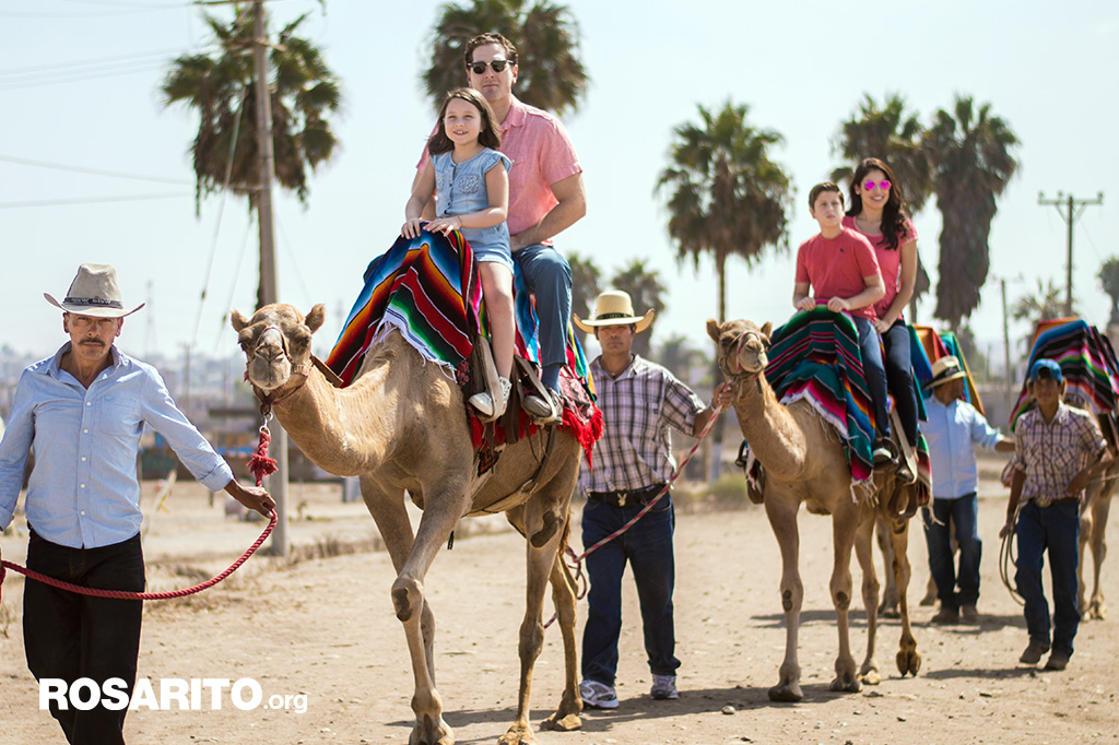 Camel Ride in Rosarito